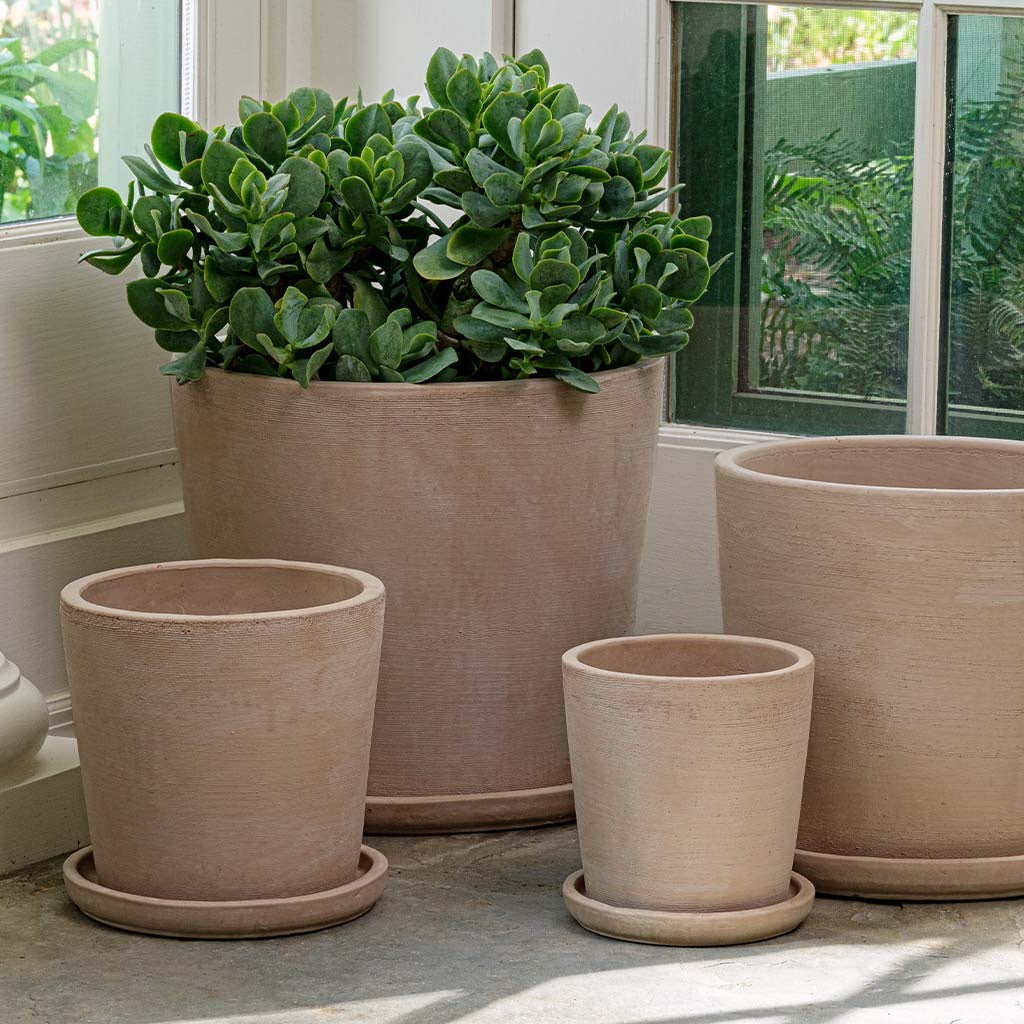 Maracay Shell Planters