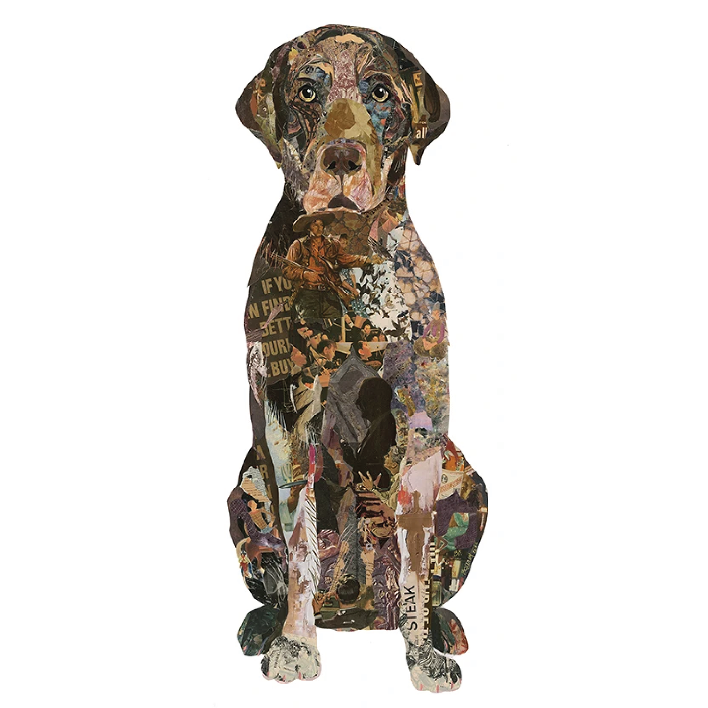Chocolate Lab 'Jake' by Brenda Bogart, Silhouette Archival Print