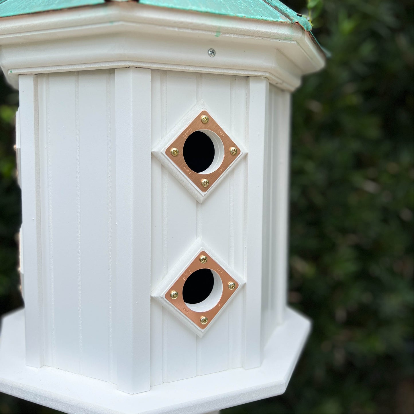 Songbird House