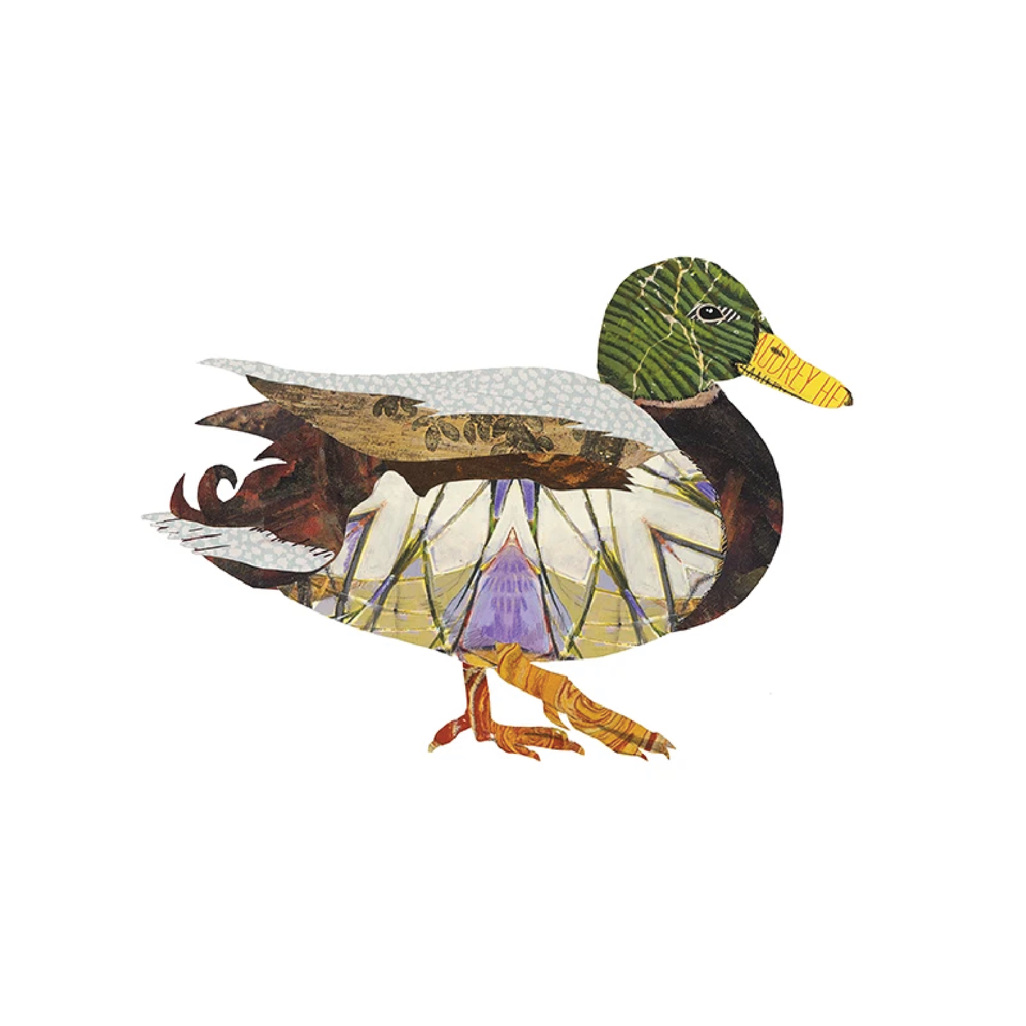 Duck by Brenda Bogart, Archival Print
