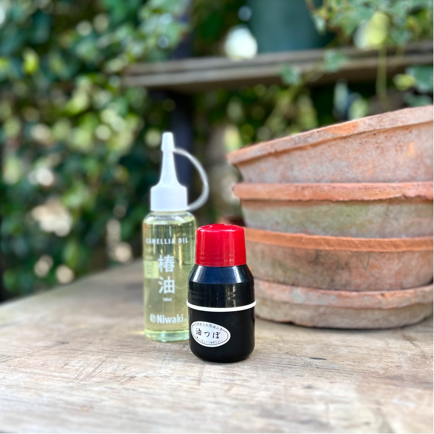 Niwaki Camellia Tool Oil & Dispenser