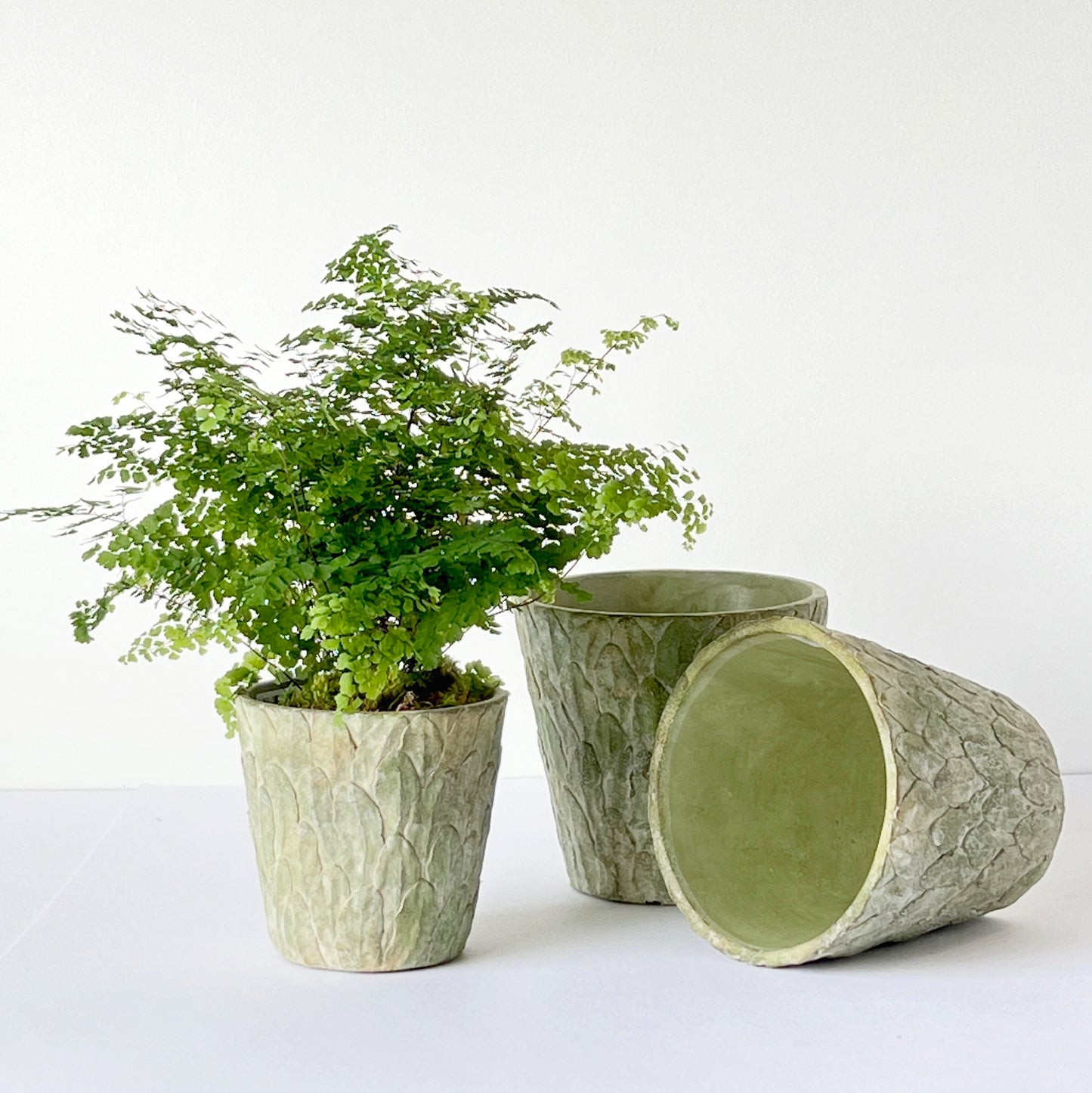 Feldburg Pots