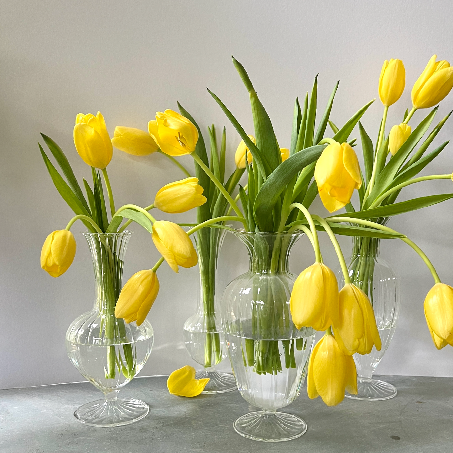 Fluted Glass Vase Set