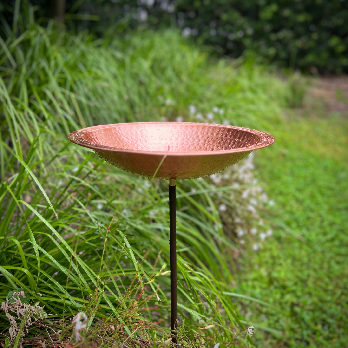 Hammered Copper Birdbath