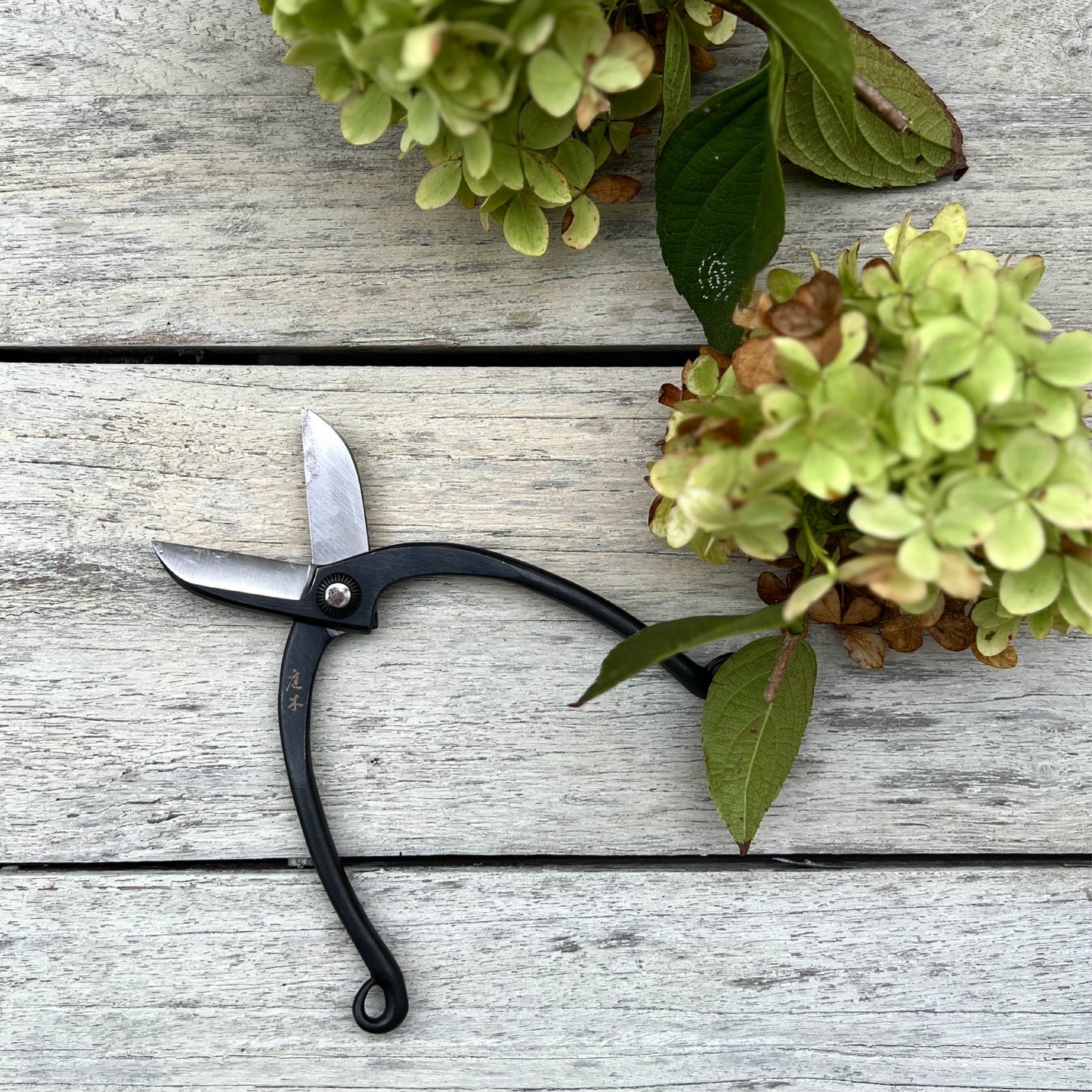 Niwaki Sentei Ikebana