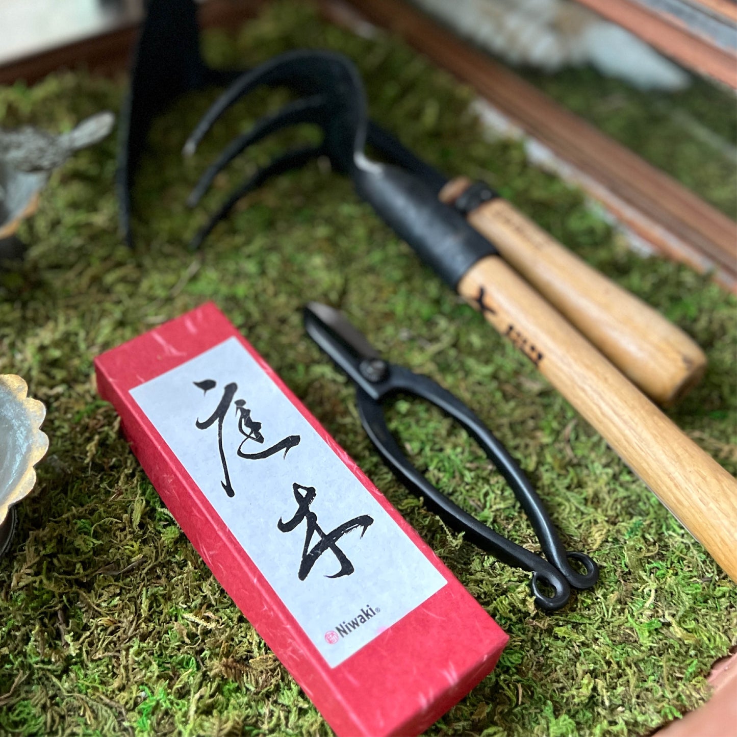 Niwaki Sentei Ikebana