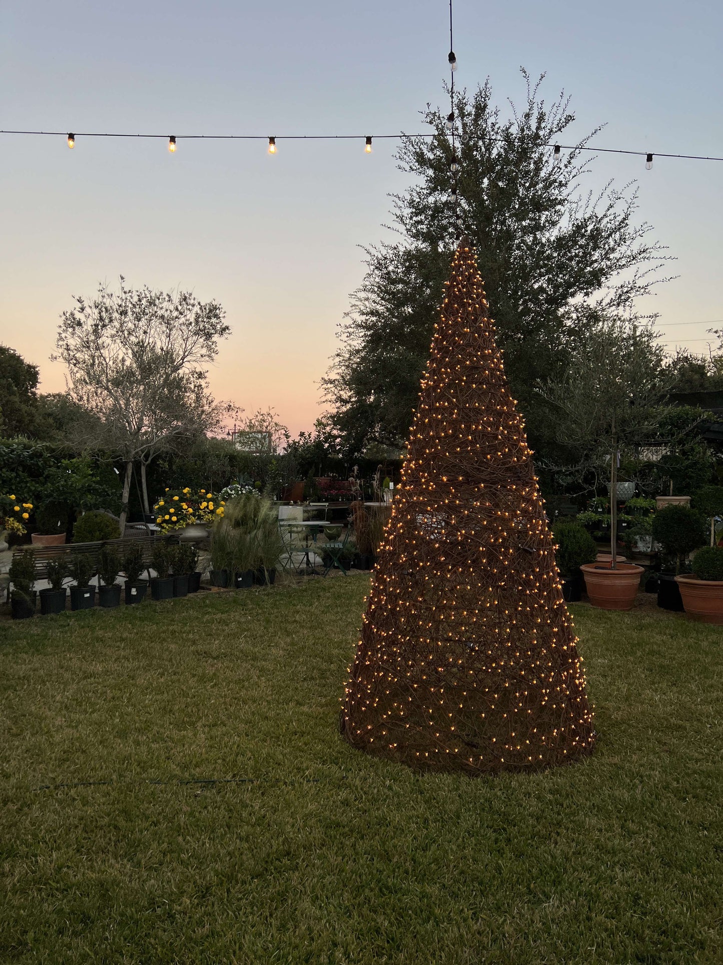 5' Lit Grapevine Tree - DISPLAY FOR SALE
