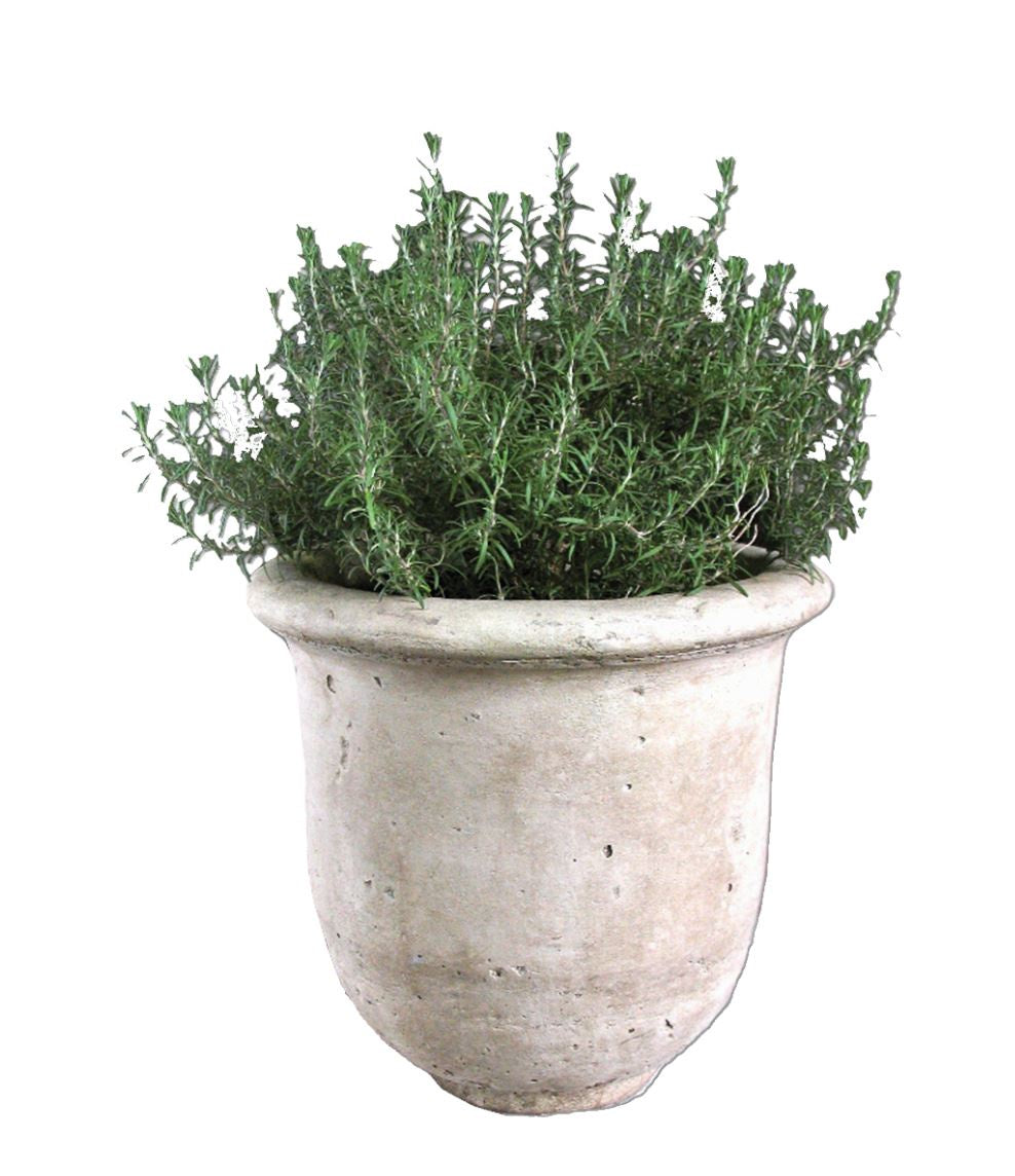 Margeaux Jardiniere Planter