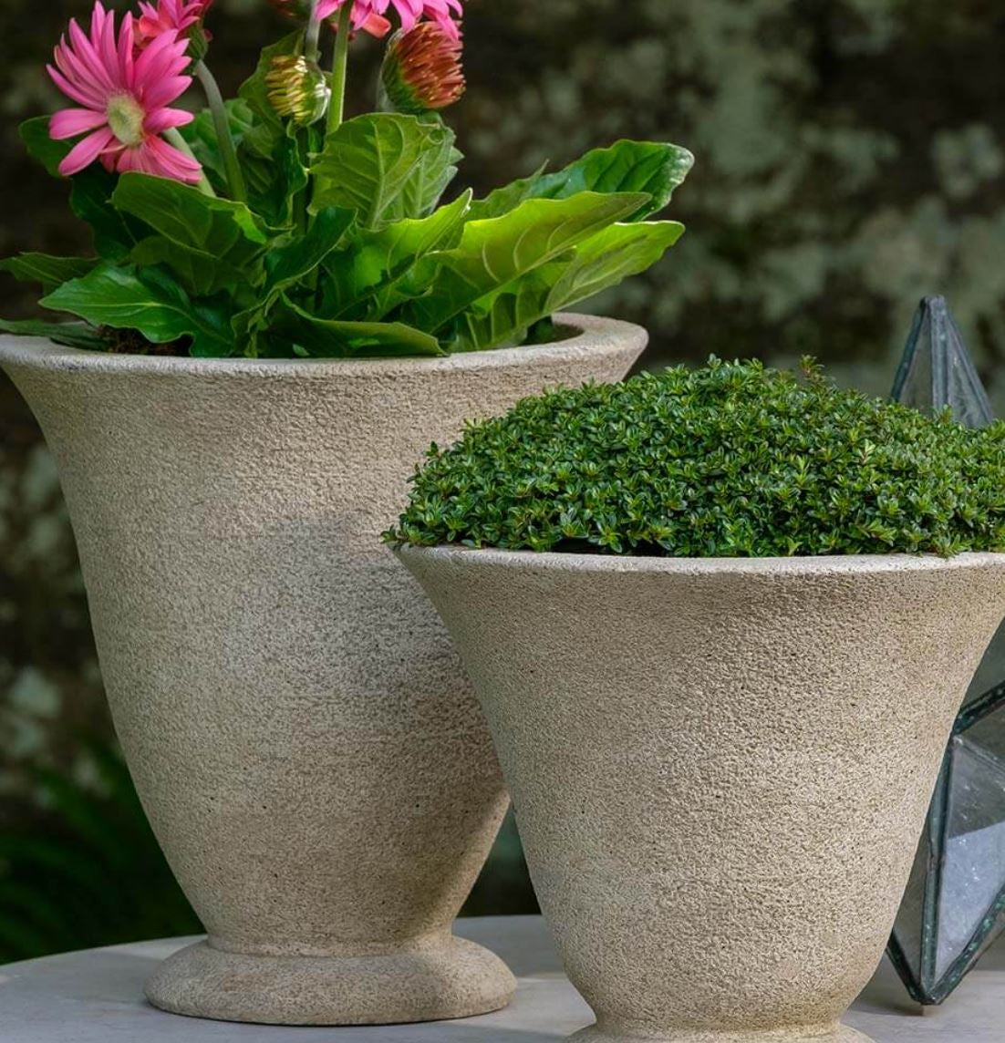 Lisette Urn