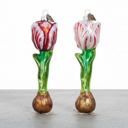 Glass Variegated Tulip Bulb Ornament