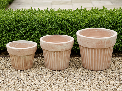 Short Plisee Planter Collection
