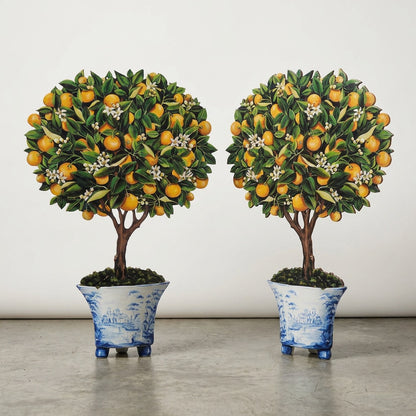 Pair of Decorative Calamondin Orange Topiaries