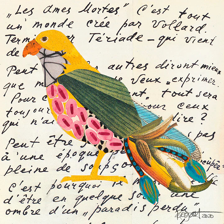 Framed Archival Bird Print by Brenda Bogart