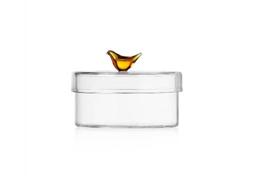 Birds Collection Lidded Box