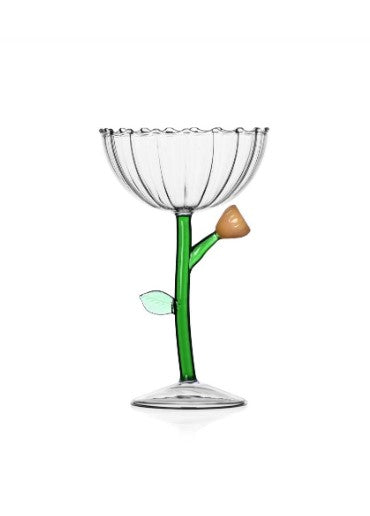 Botanica Collection Coupe