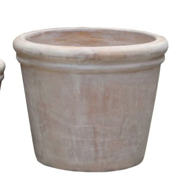Celia Planter