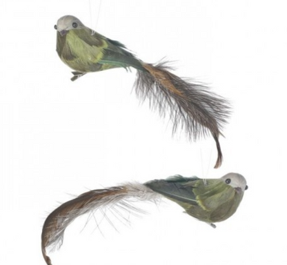 Deer Valley Feather Bird