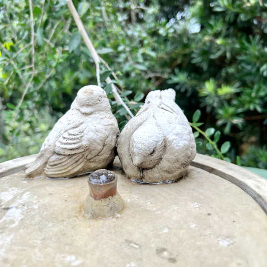 Birds of A Feather Fountain