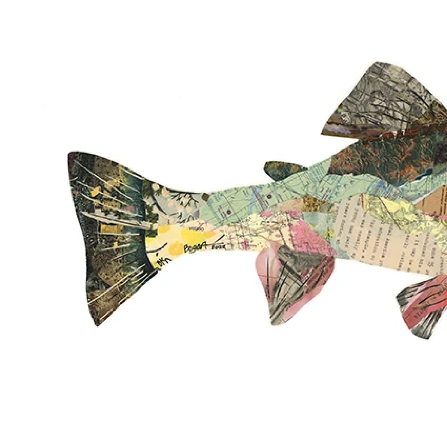 'Henry' Rainbow Trout by Brenda Bogart, Archival Print