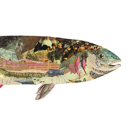 'Henry' Rainbow Trout by Brenda Bogart, Archival Print