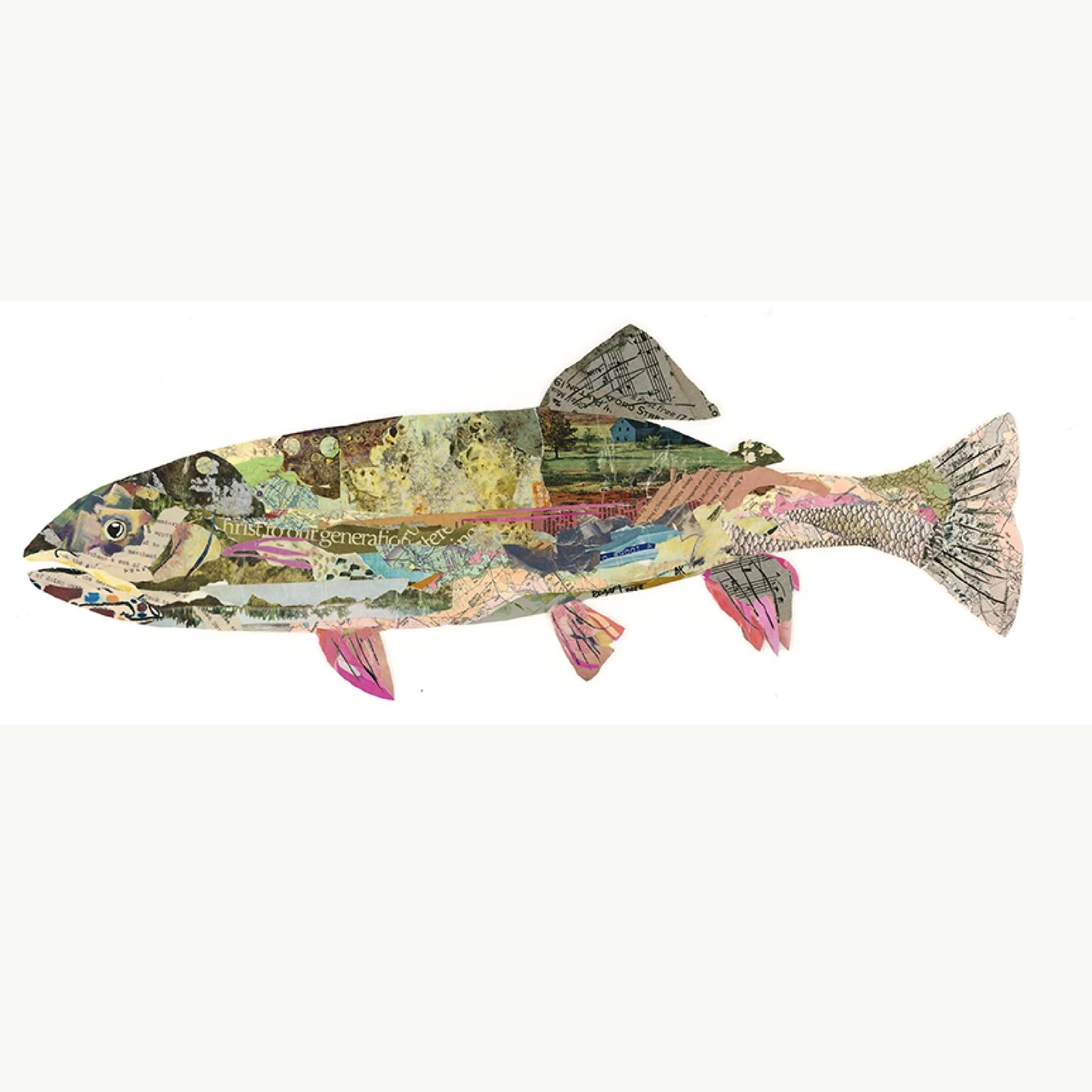 'Hermione' Rainbow Trout by Brenda Bogart, Archival Print