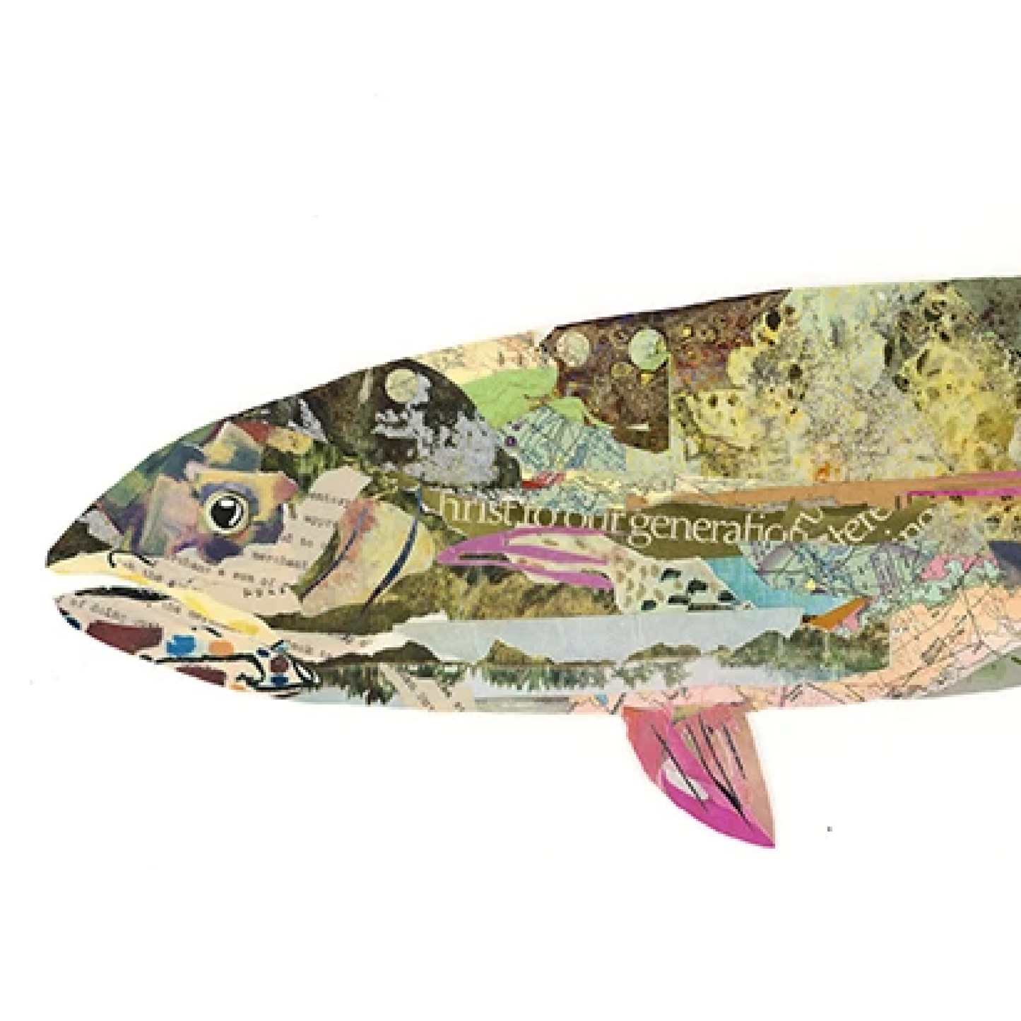 'Hermione' Rainbow Trout by Brenda Bogart, Archival Print