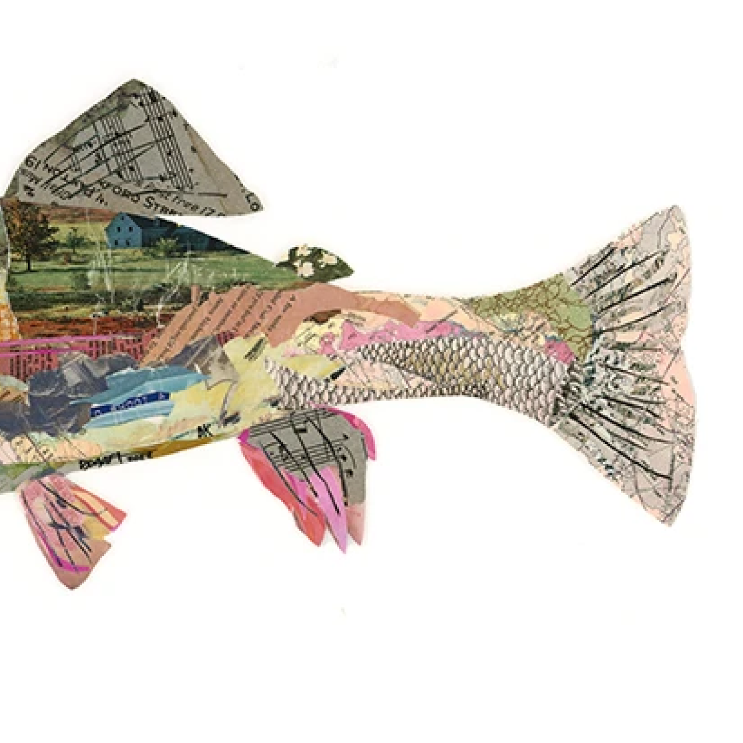 'Hermione' Rainbow Trout by Brenda Bogart, Archival Print