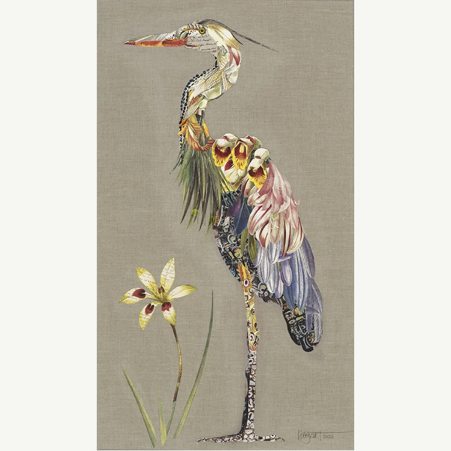 Heron #1 by Brenda Bogart, Archival Print