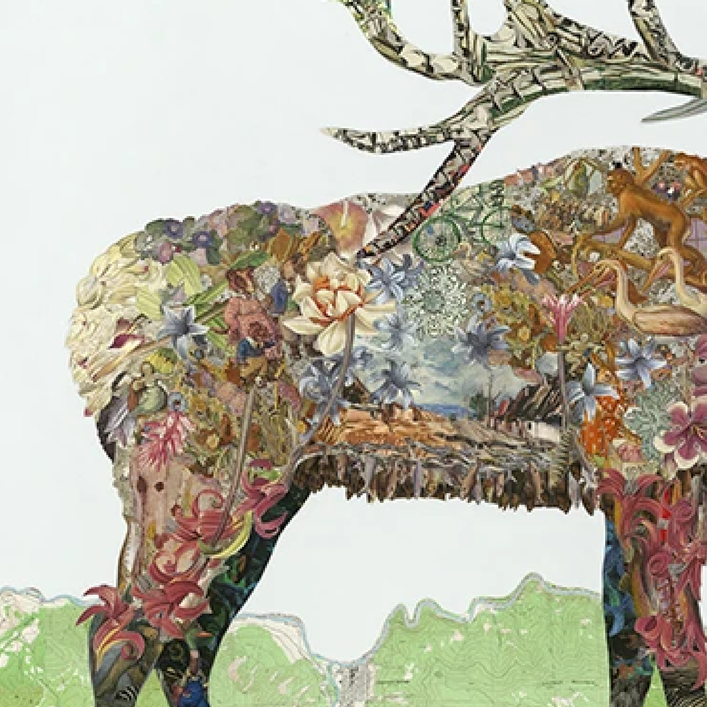 'Xander' Elk by Brenda Bogart, Archival Print