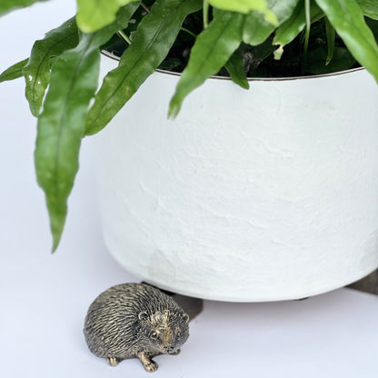 white plant pot feet Bronze Critter Pot Feet, Set of 3 – Elizabeth Stuart