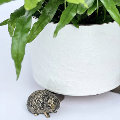 plant pot critters Bronze Critter Pot Feet, Set of 3 – Elizabeth Stuart