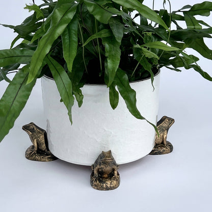 Bronze Critter Pot Feet, Set of 3