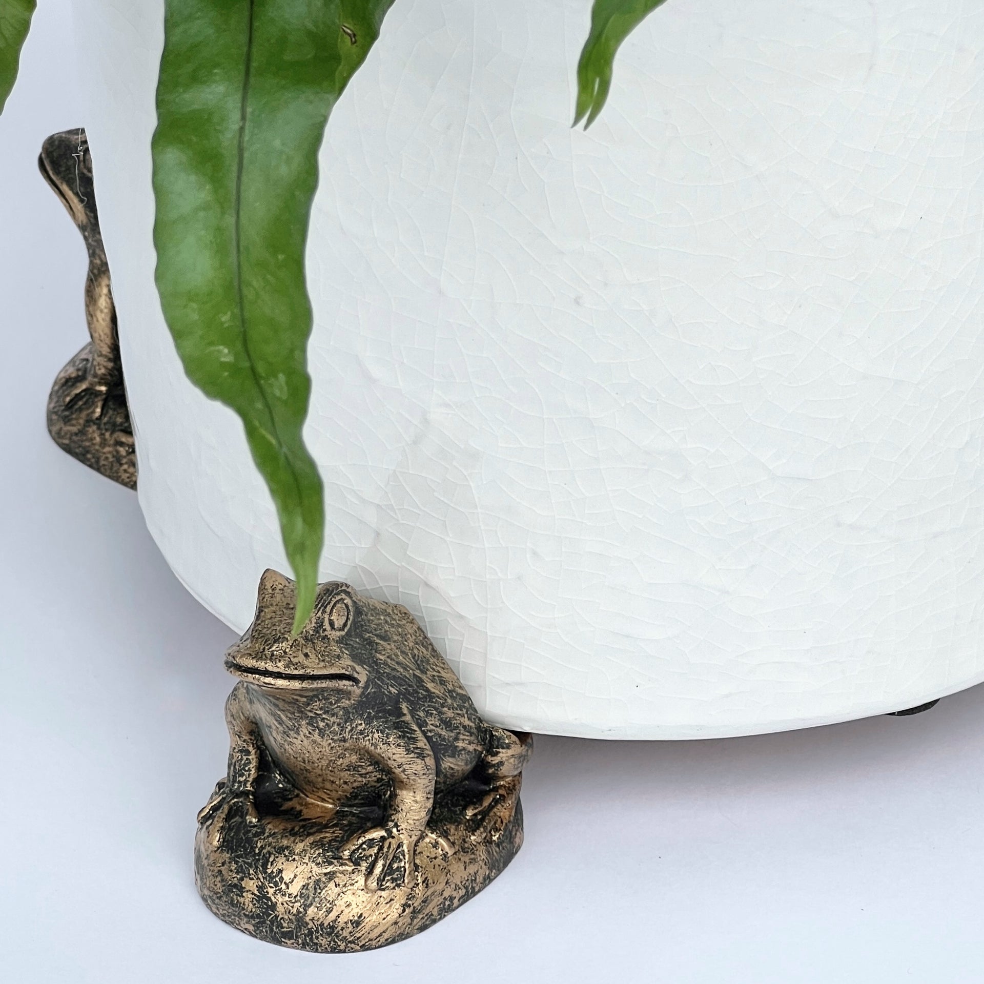 planter pot toes Bronze Critter Pot Feet, Set of 3 – Elizabeth Stuart
