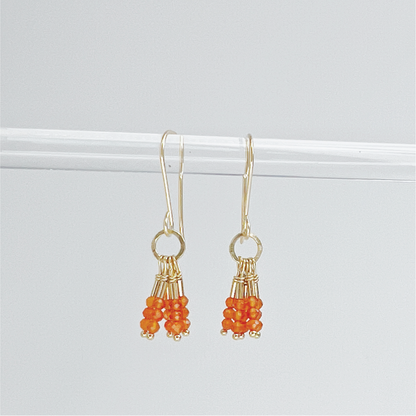 Debbie Fisher Earrings