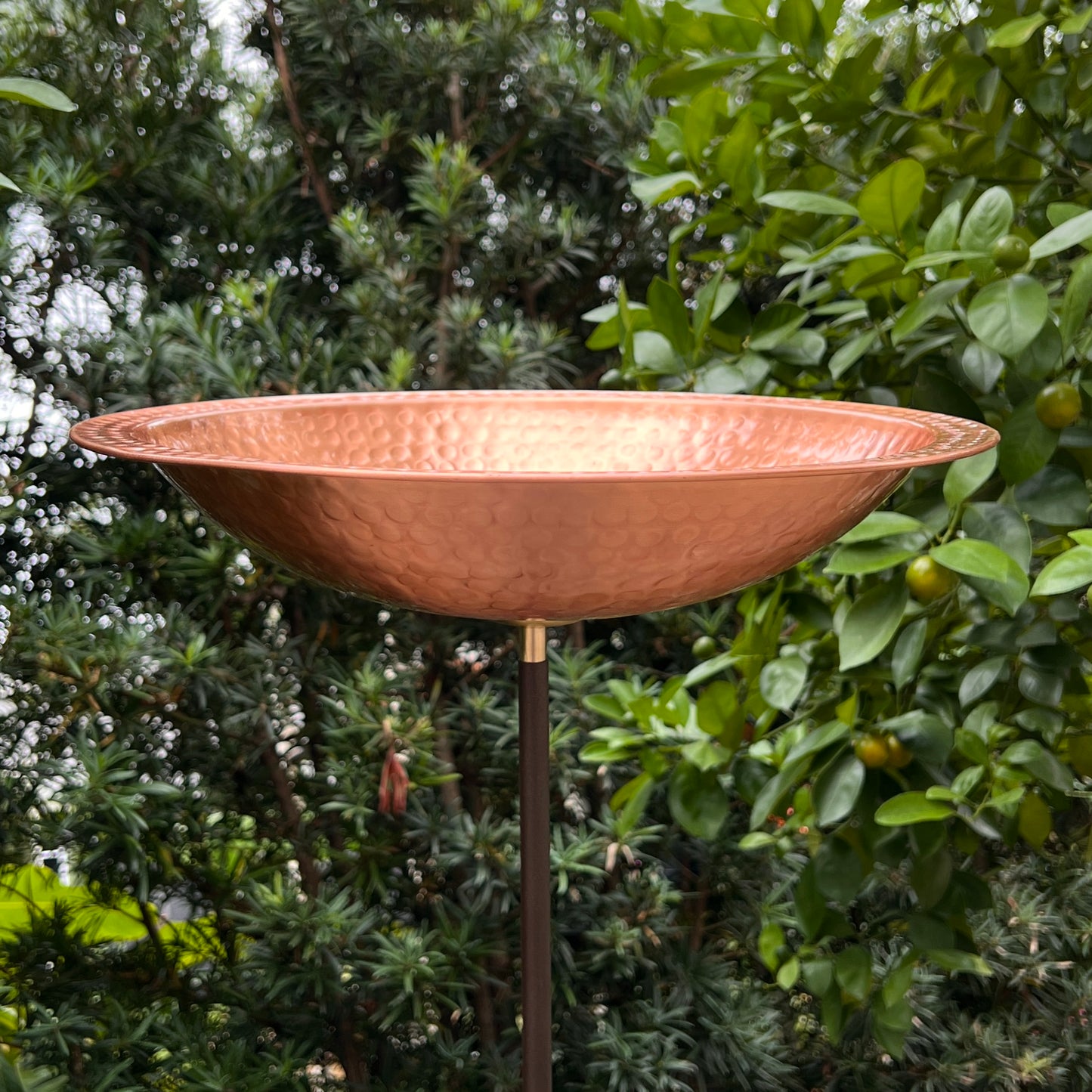 Hammered Copper Birdbath