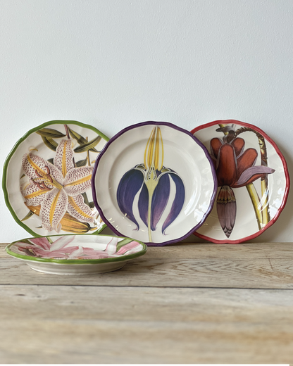 Orchids Porcelain Plate Collection