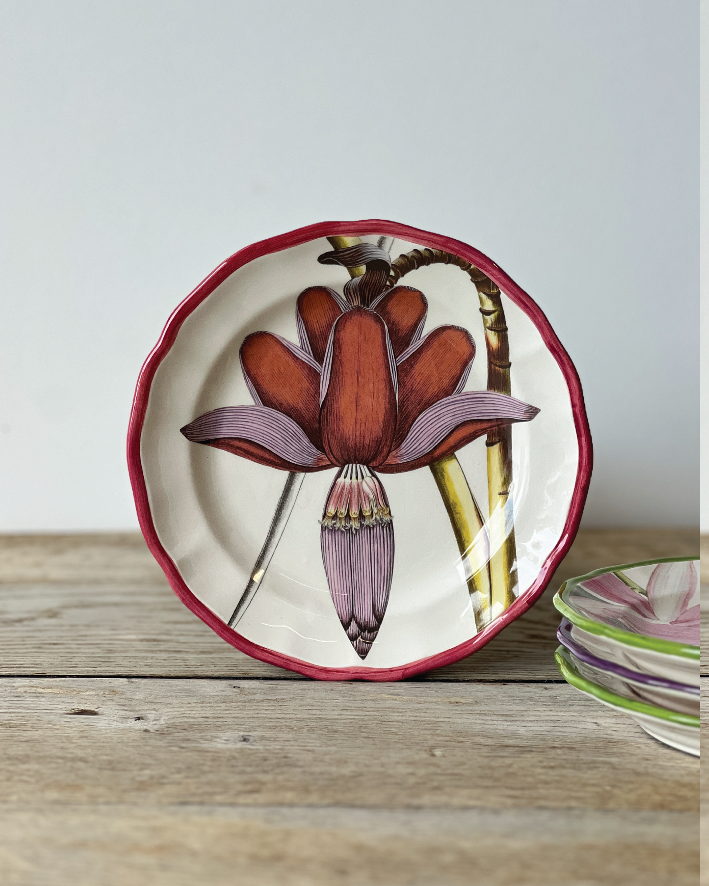 Orchids Porcelain Plate Collection