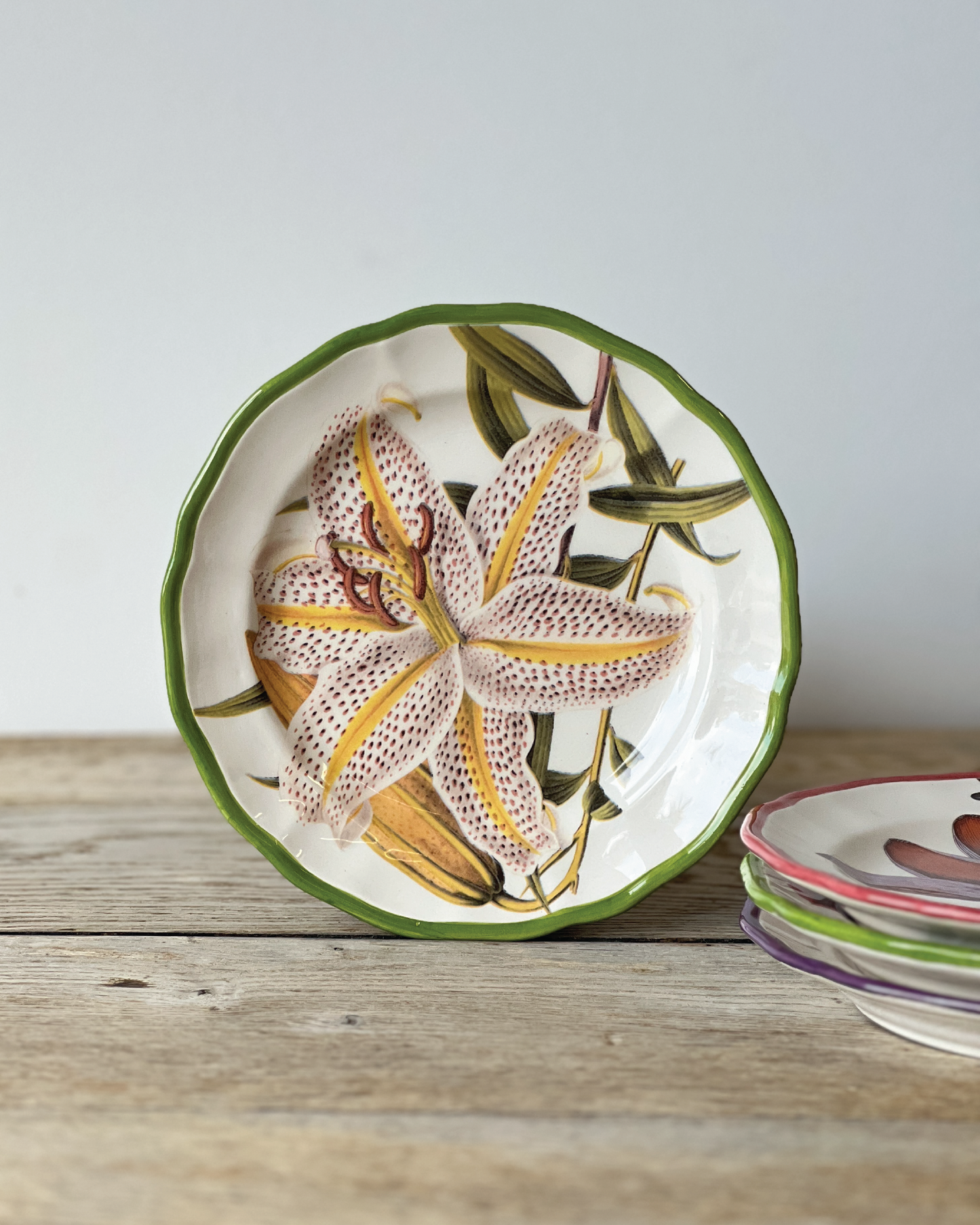 Orchids Porcelain Plate Collection