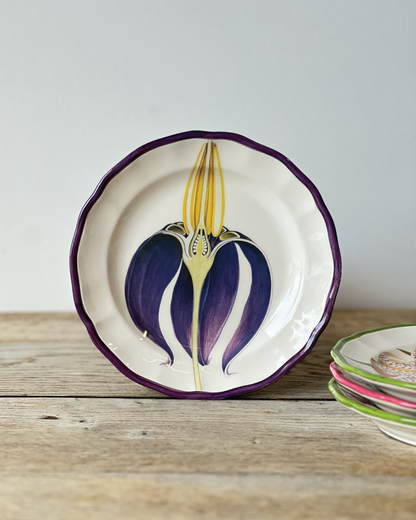 Orchids Porcelain Plate Collection