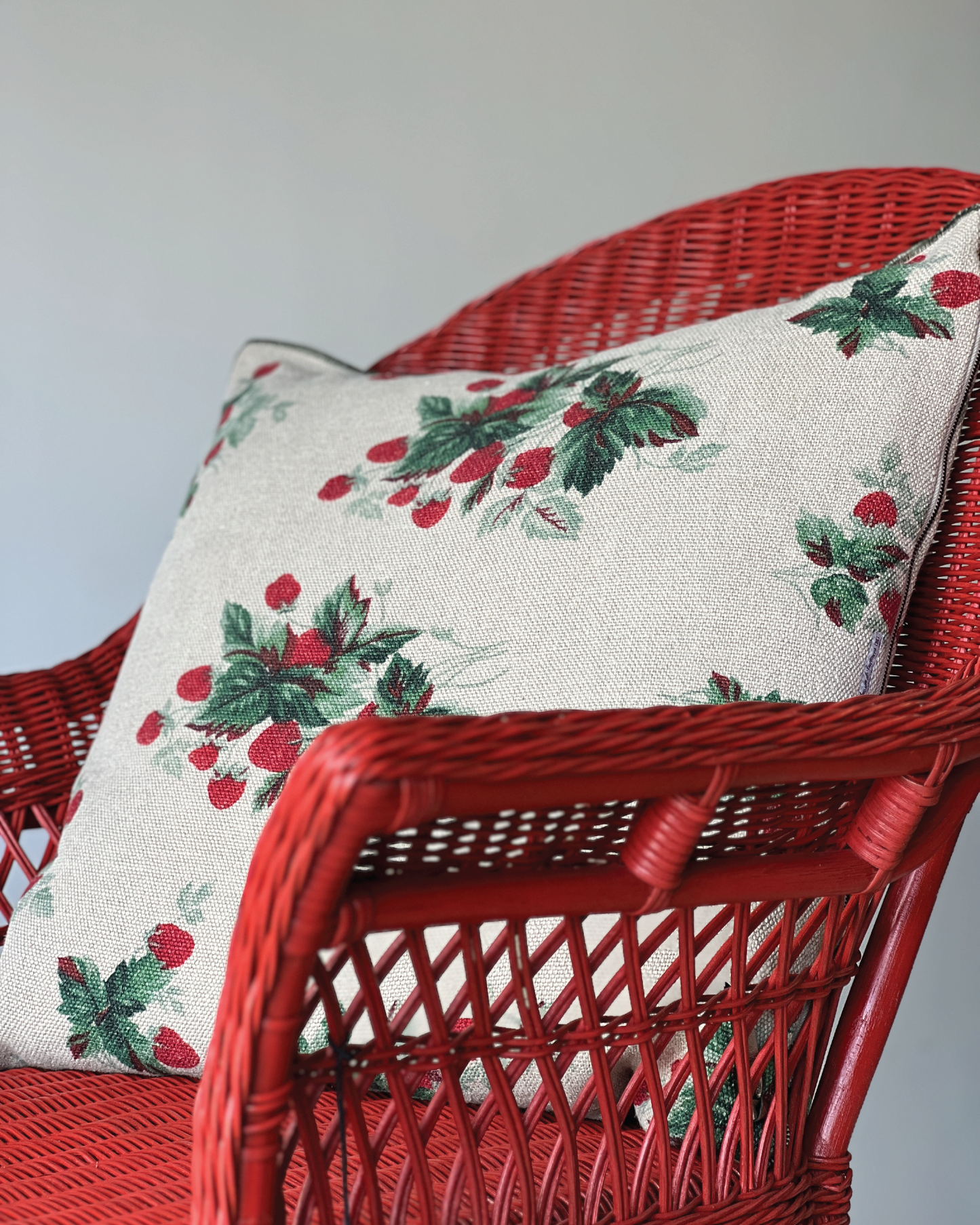 Maison de Vacances Les Fraises Pillows