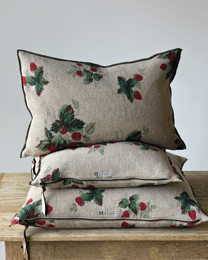 Maison de Vacances Les Fraises Pillows