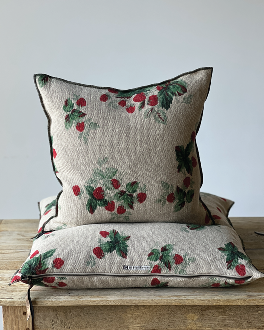 Maison de Vacances Les Fraises Pillows