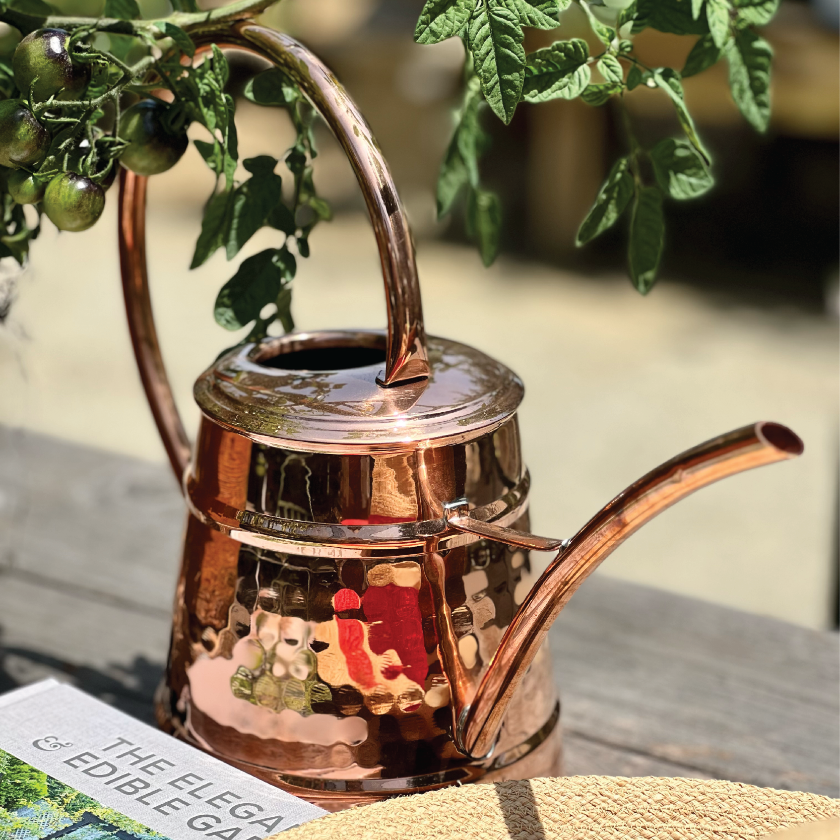 Copper Can Alta Copper Watering Can – Elizabeth Stuart