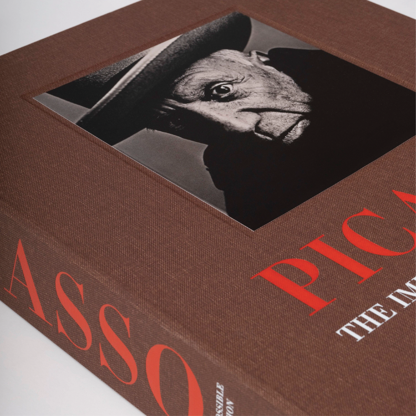 Pablo Picasso: The Impossible Collection