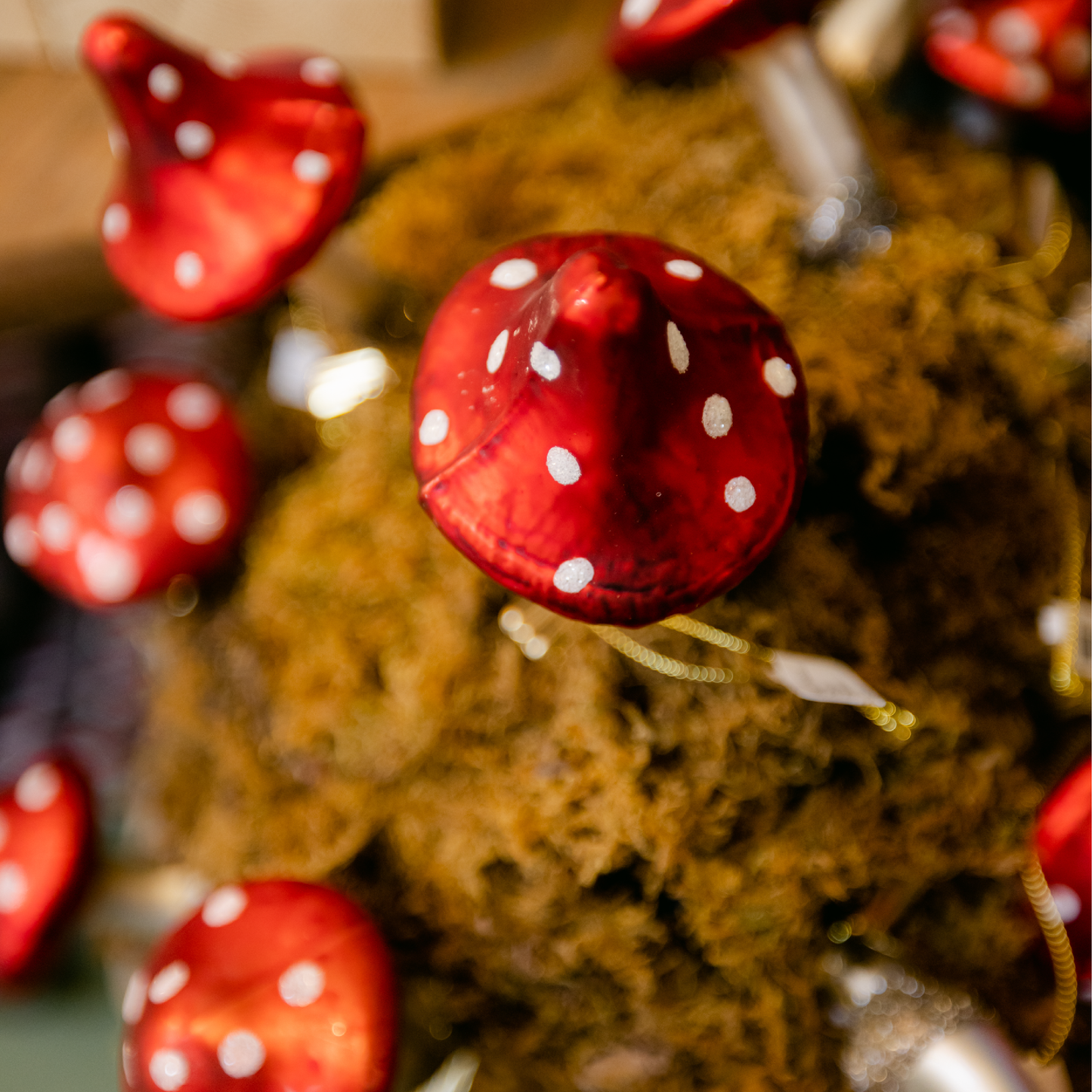 Polka Dot Mushroom Ornament Set