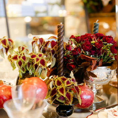 Signature 10" Rope Tapers