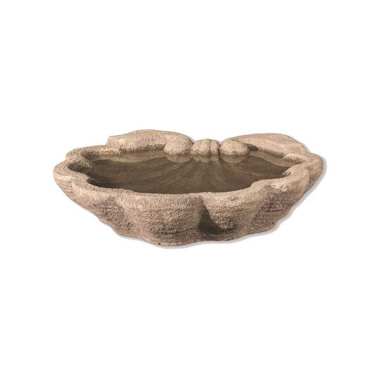 Shell Bath