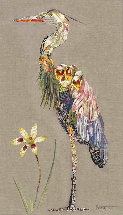 Framed Archival Bird Print by Brenda Bogart