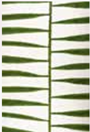Patterned Hand Painted Tablecloths