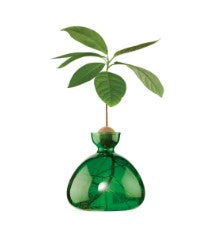 Avocado Vase